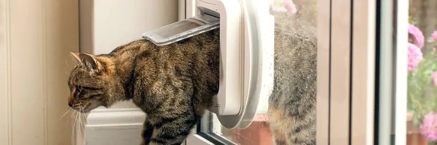 installer une chatière