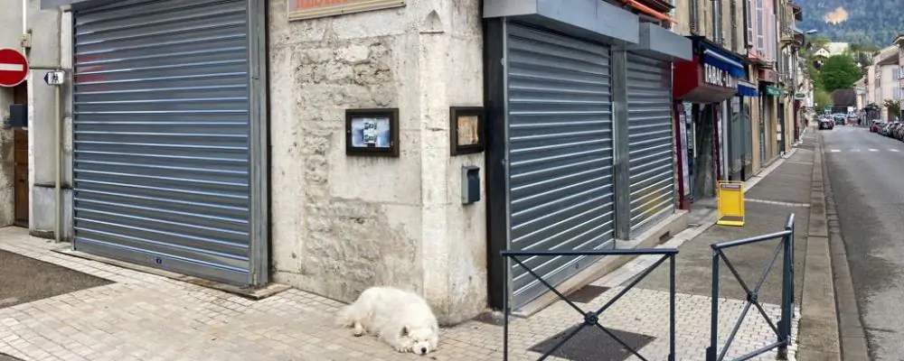 rideau métallique Bayonne
