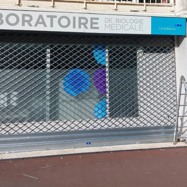 Grille cobra sur mesure signée METAL 2000