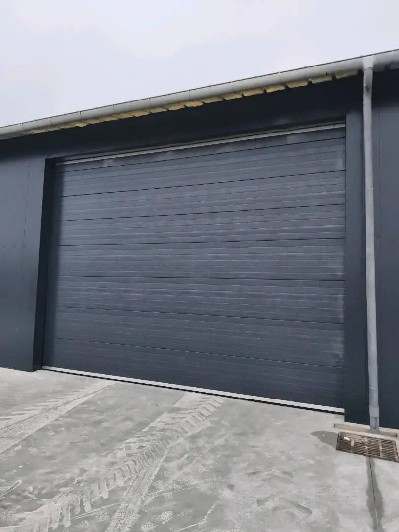 Remplacement moteur porte industrielle Bellignat (01100) - 24H7