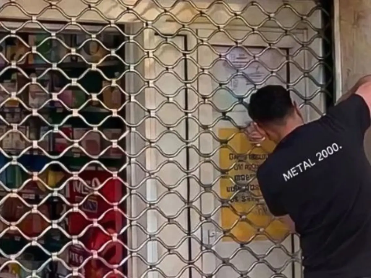 Dépannage grille métallique L'Haÿ-les-Roses